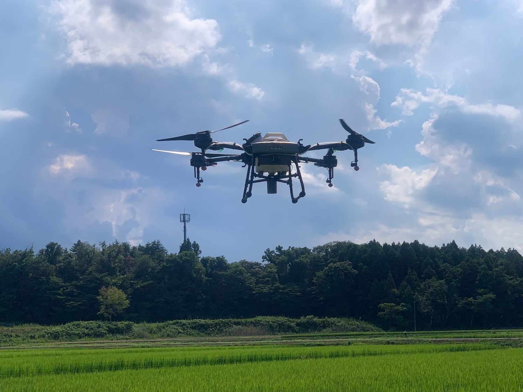 【数量限定】スペシャルティコーヒーの福袋「丸山珈琲の福豆袋2026」全7種類を11月15日(土)より予約販売を開始