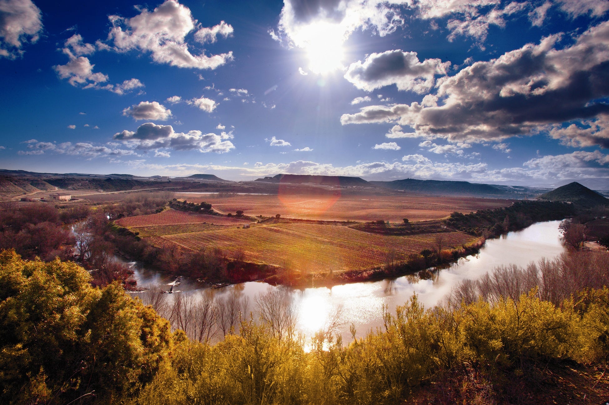 NINZIA、SKS Japan 2025「Pioneer pitch」にて「Judge’s Favorite Award」に選出