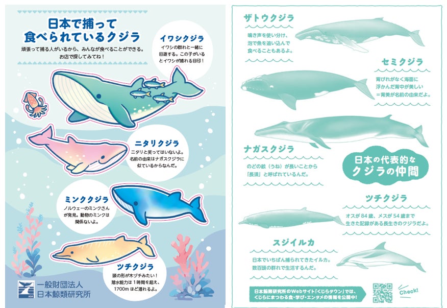 【高島屋】昭和100年の節目を楽しむギフト特集!「2025年 冬の贈りもの」お歳暮ギフト会場が各店に順次オープン!新宿店では、贈る前に、お歳暮商品を実際に味わえる期間限定の “お歳暮カフェ” も!