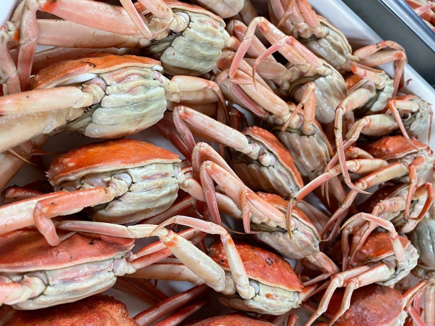 地域と世界をつなぐWEBプラットフォーム OYAMA Select公開