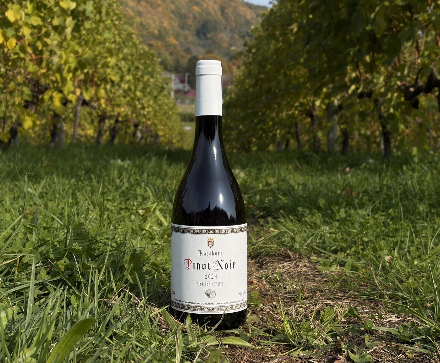 北海道コンサドーレ札幌オフィシャルライセンス商品『八百屋の逸品 北海道ミニトマトドレッシング』が2025年11月より新発売!