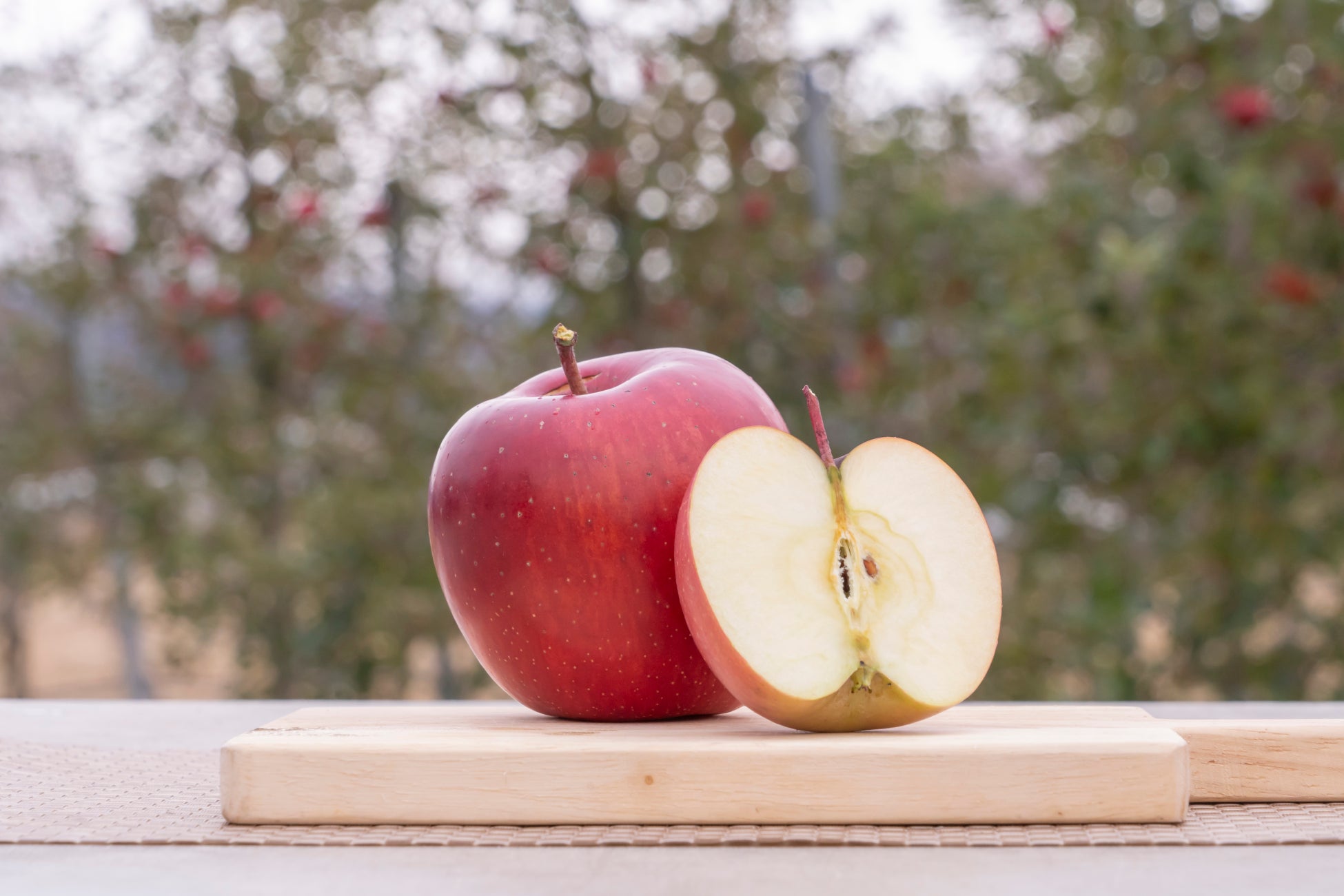 「冷凍キューバサンド」全国へ。映画『シェフ』で話題、地元で人気の味をお届け