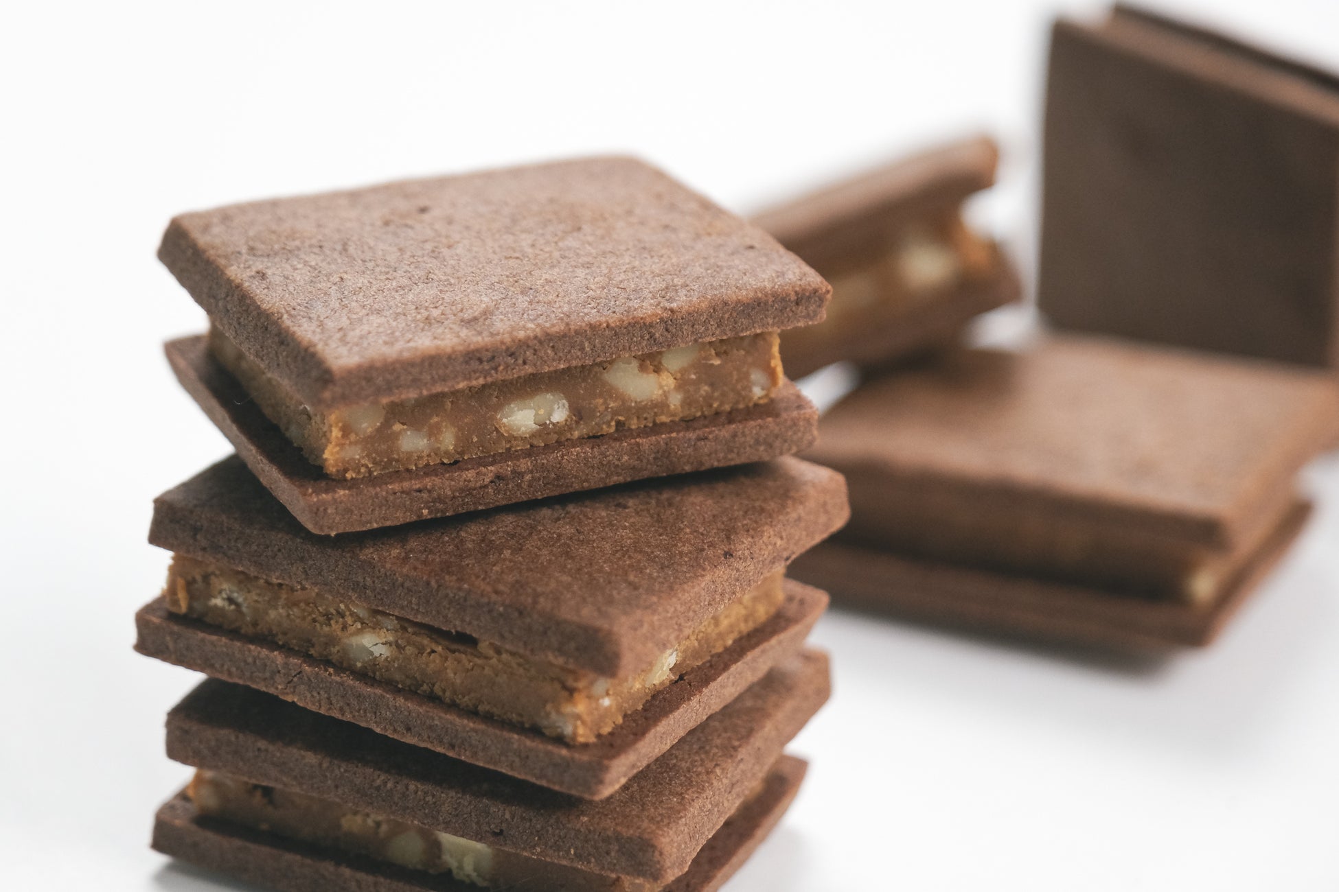 中島水産で開催する「茨城県しらす祭」にて「常陸乃国しらす」と県産水産物をPR販売