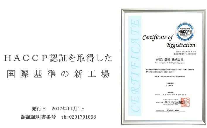 【nana’s green tea】「2026年福袋」、イラストレーター描き下ろしグッズ&約2倍相当のお得な内容で11/20(木)オンライン予約開始