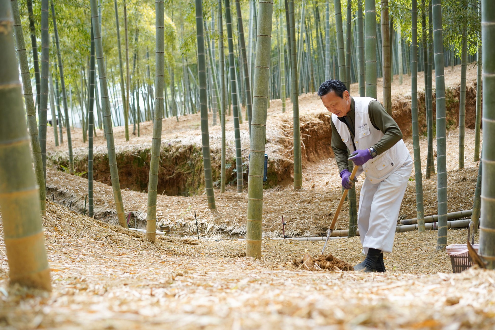 【Afternoon Tea】「ニューイヤーズバッグ2026」限定デザインのキャニスター缶入り「シトロンミルクティー」や人気の紅茶、クッキー缶、ティーチケットなど、お花を描いたオリジナルバッグに詰めて