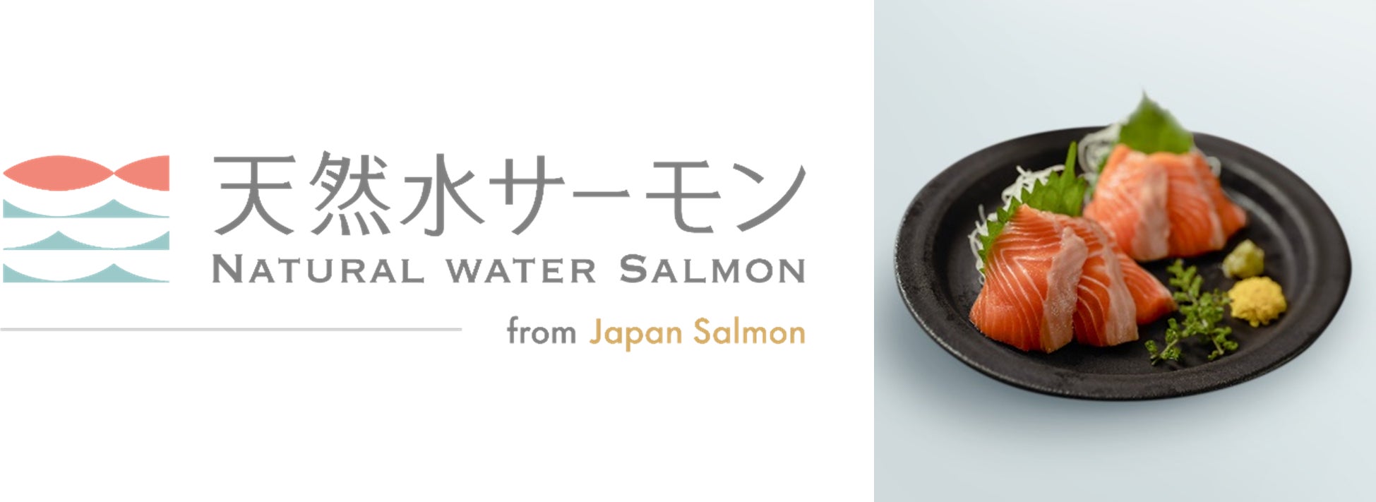 「Jagabee」と「シュガーバターの木」が初コラボレーション!『Jagabee×SUGAR BUTTER TREE シュガじゃが』