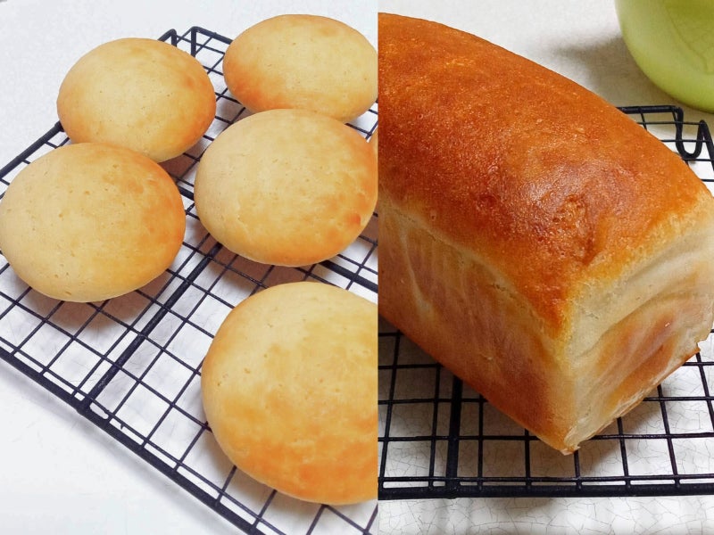 【新発売】メキシコ産クラフトメスカル ロペスレアル 野生種2種を数量限定にて販売開始