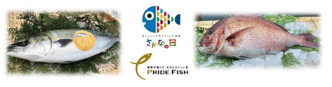 【Minimalのクリスマス2025・第三弾】Bean to Barチョコレート専門店ならでは。カカオの魅力を極めた4種のチョコレートクリスマスケーキが登場。