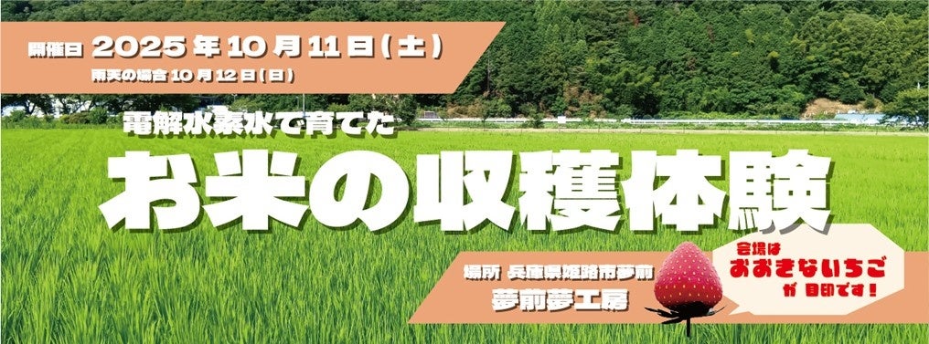 ジャパンラグビー リーグワン 浦安D-Rocksが公式アサイーニスト就任のお知らせ