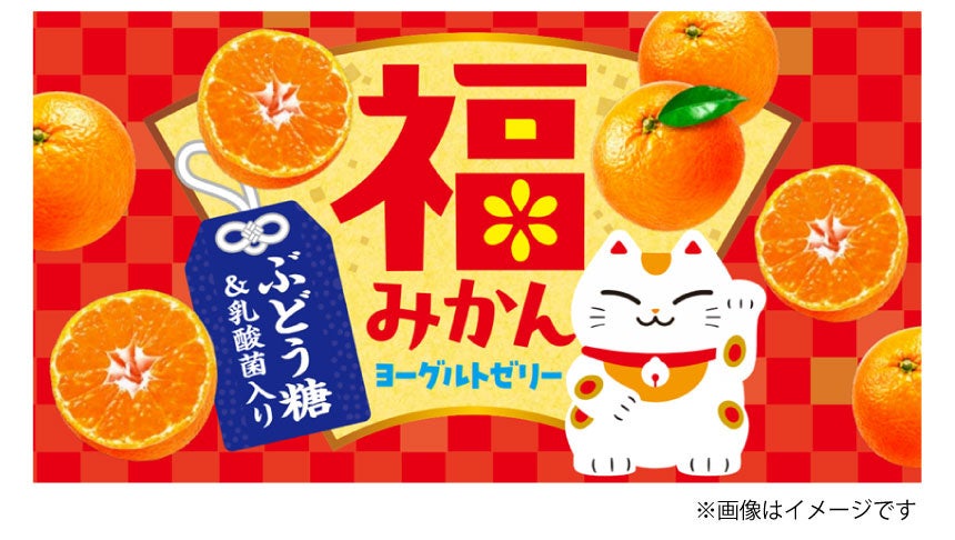 冬休みはおうちで“お菓子の家”を作ろう!「ポッピンクッキン ケーキのおうち」が2025年11月17日(月)より期間限定発売!