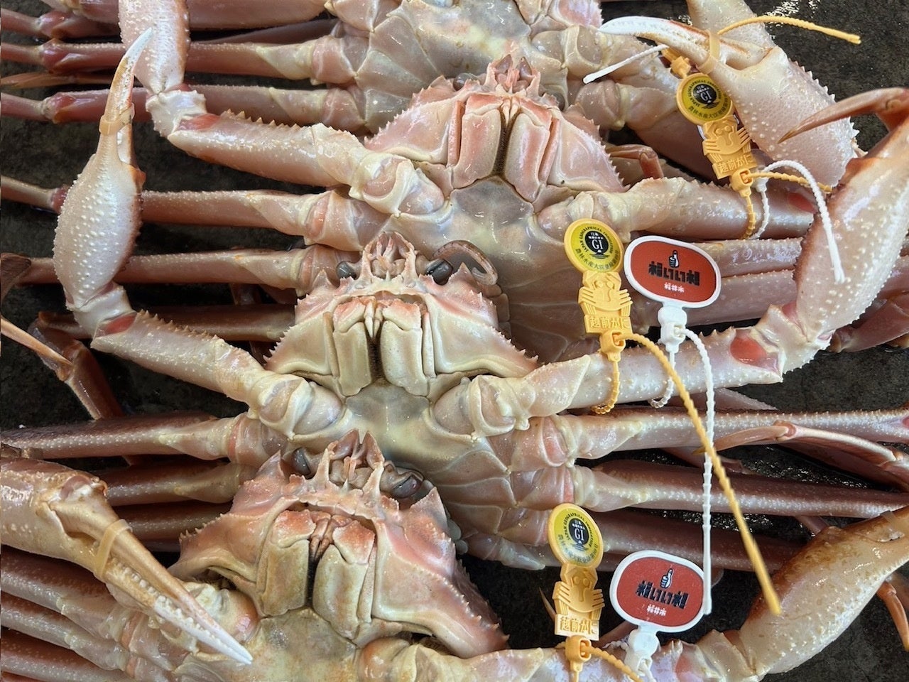 吉野家公式通販ショップで『福箱』を販売開始先着3,000名様に『超小盛丼』プレゼント!