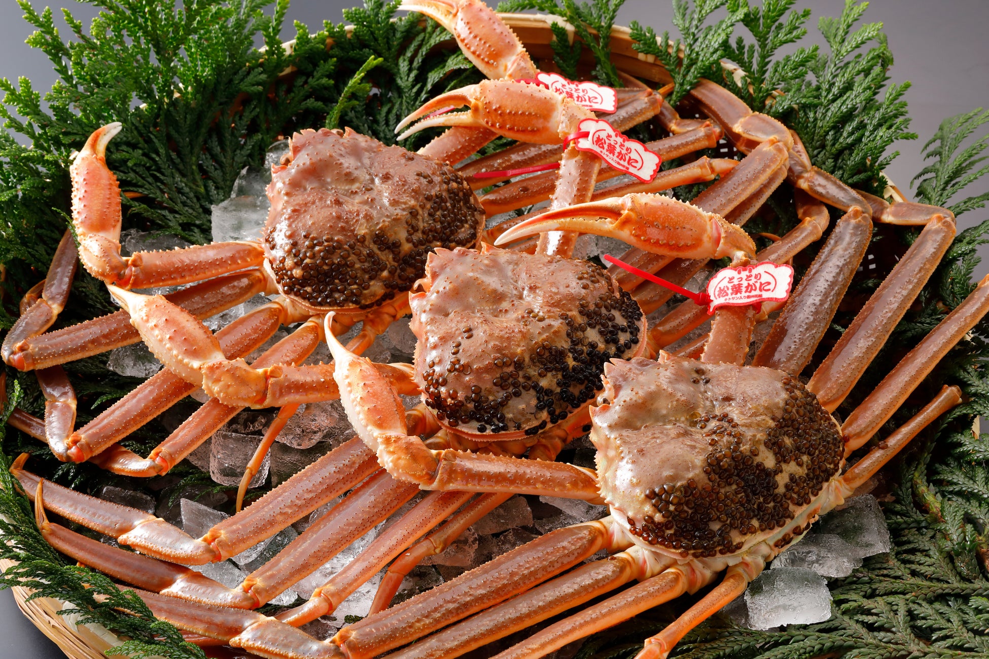 【合同会社ねっか】只見町と包括連携協定を締結|“只見らしさ”を未来へ。地域とともに育む、自然共生とものづくりの新しいかたち