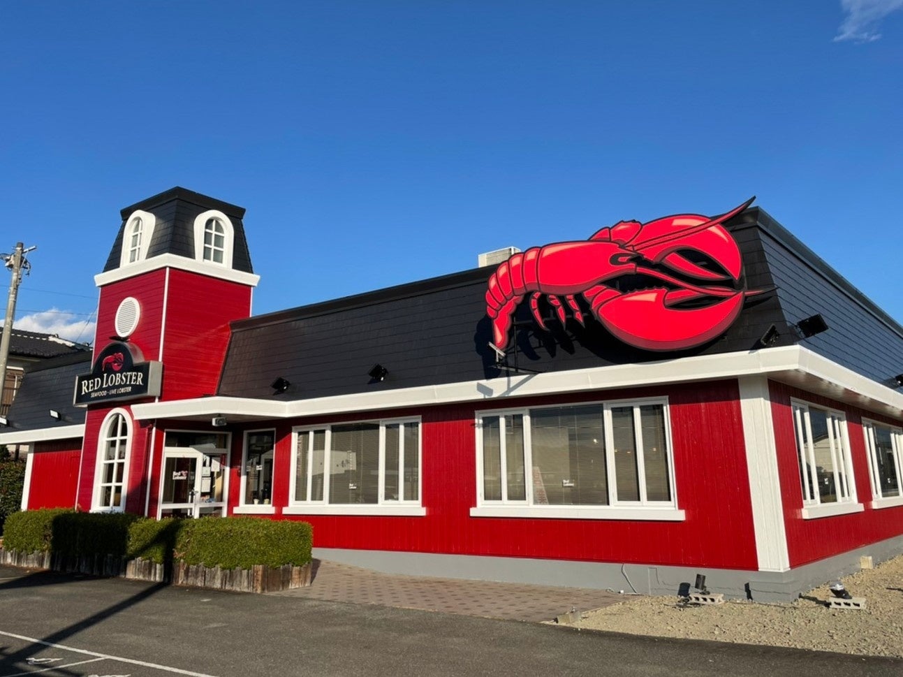 Woltに新サービス「タイムセール」登場！札幌エリアでスタート！事前予約でお支払いが総額890円以下！配達料とサービス料が無料に！