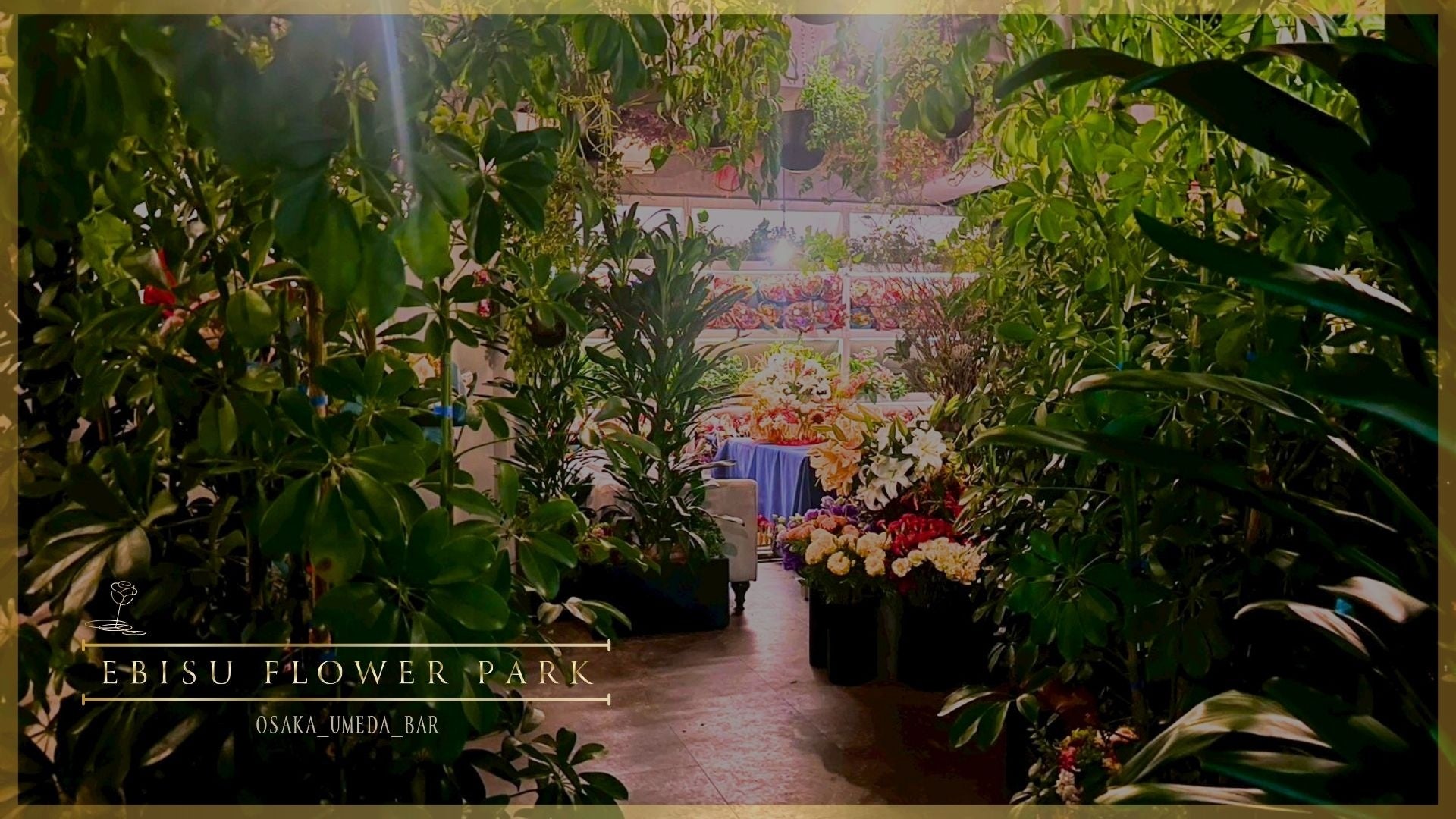 ハワイアン カフェ・レストラン「コナズ珈琲」愛知県3店舗目は、岡崎市!コナズ珈琲 岡崎美合店2025年11月27日(木)10時オープン