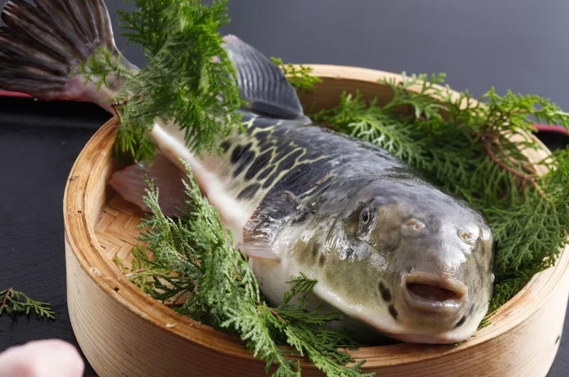 【大阪・イベント観覧募集】「辛ラーメン」の新しいおいしさに出会える!人気料理家「ぐっち夫婦」など人気クリエイターが、オリジナル辛ラーメンキムチチゲを提案。11月22日(土)開催