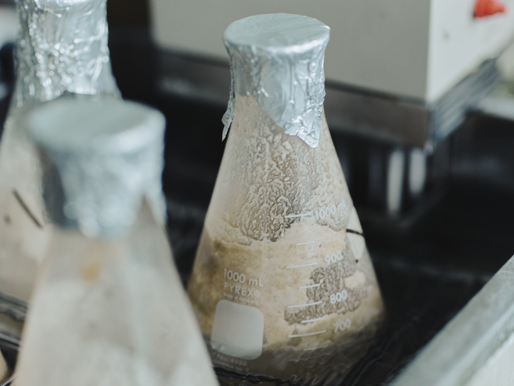 おいしくサステナブルな次世代スナック！魚の皮から生まれた「トトチップる しお味」リニューアル発売