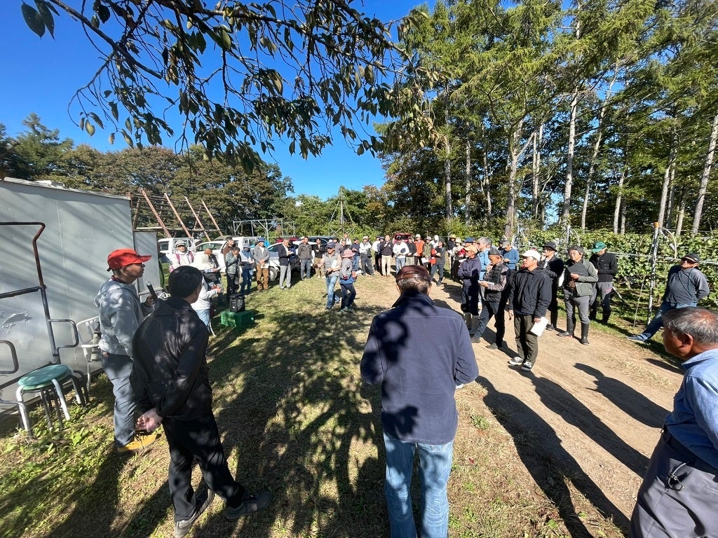 【らでぃっしゅぼーや】青森のりんご産地で「クマ被害」深刻化 「クマ被害支援りんご入りふぞろい食材おためしセット」販売へ(11/10〜)