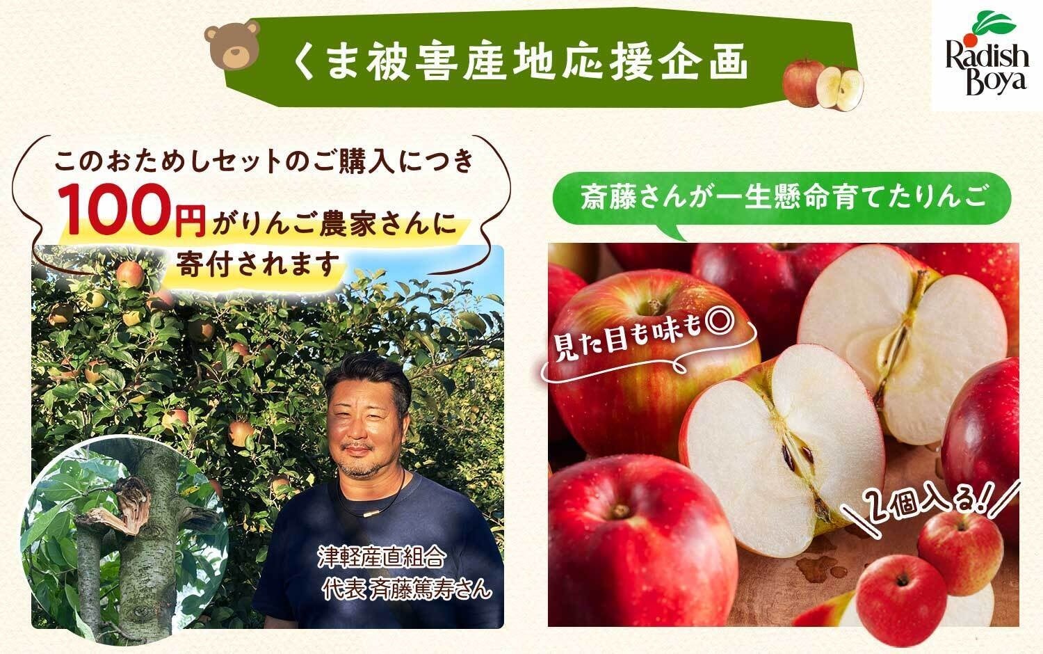 ロケットナウ、「PayPay」決済の導入開始。安全性と利便性を強化!より安心で快適なフードデリバリーへ