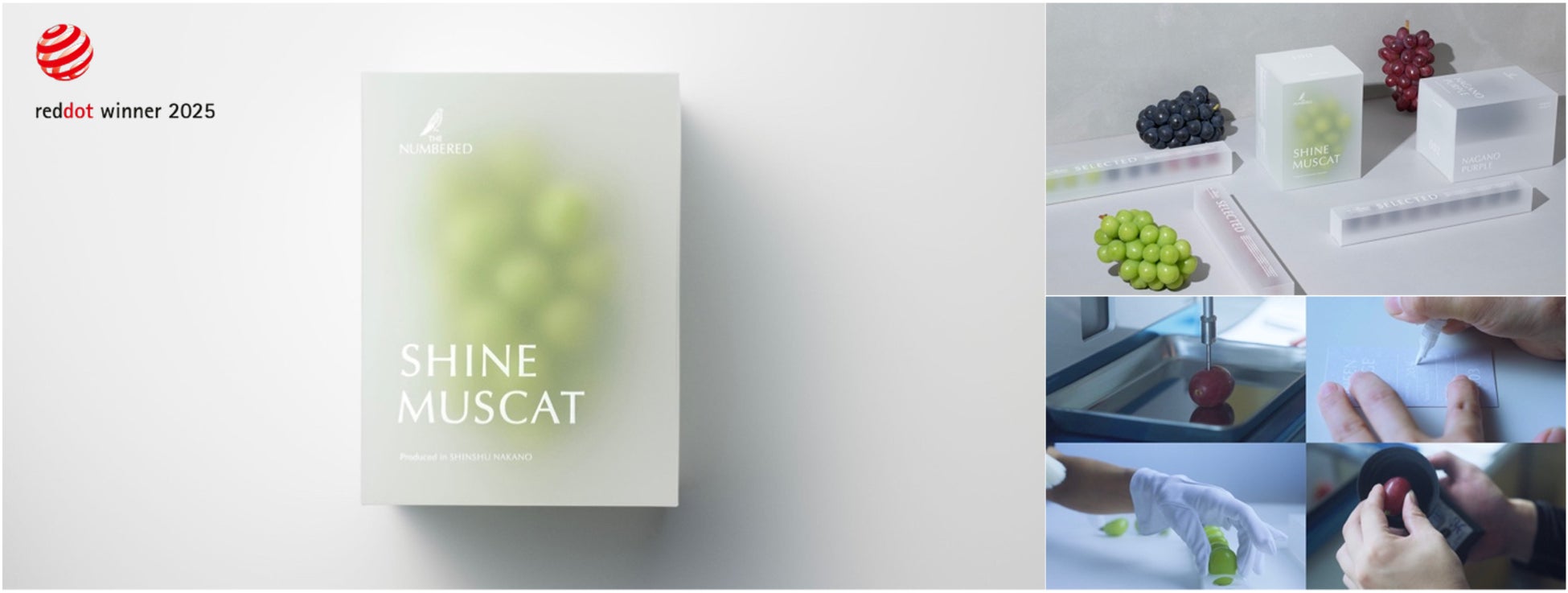 だいやめどきで年末のご自愛キャンペーン開始！