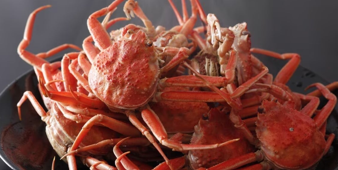 【小田原】平日4名以上で“シャトーブリアン100g（3,980円税込）”を1枚無料提供！『炭火焼肉ホルモン酒場 仙次郎』が11月18日〜12月18日の期間限定キャンペーンを実施