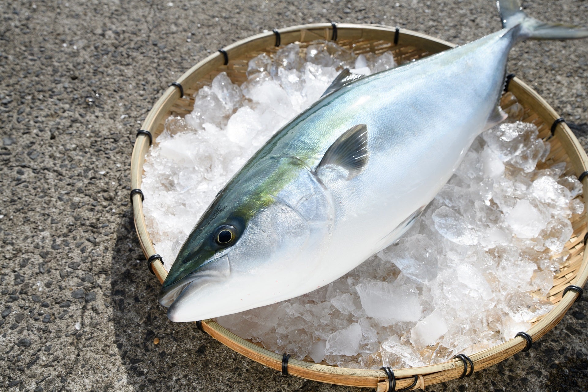 【岐阜グランドホテル】 第188回長良川コンサート 『 南欧の風にのせて~異色の音色~ 』を開催