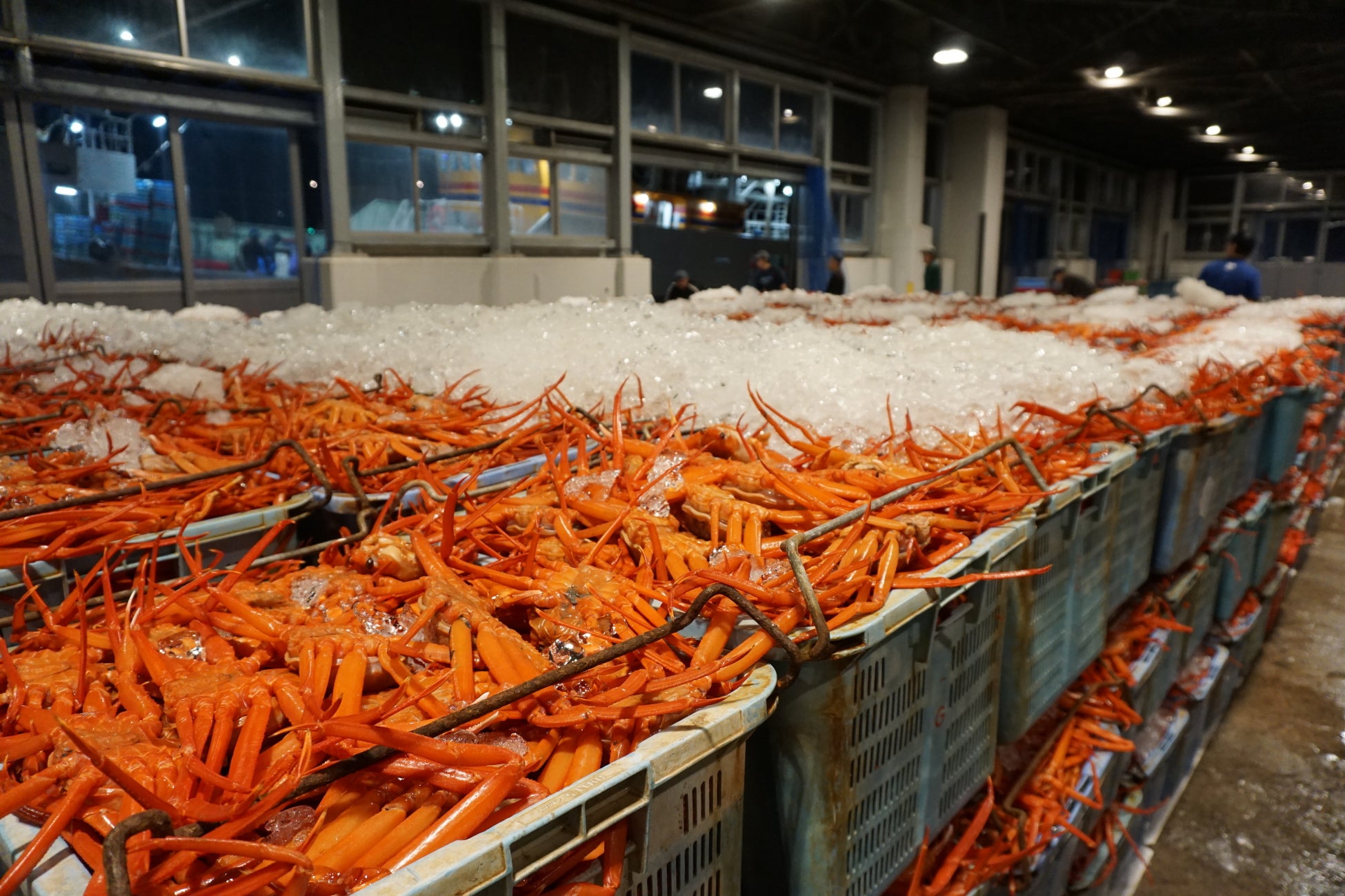 アグロルーデンス、自社初のマイコプロテイン生産拠点「那須工場」を開設