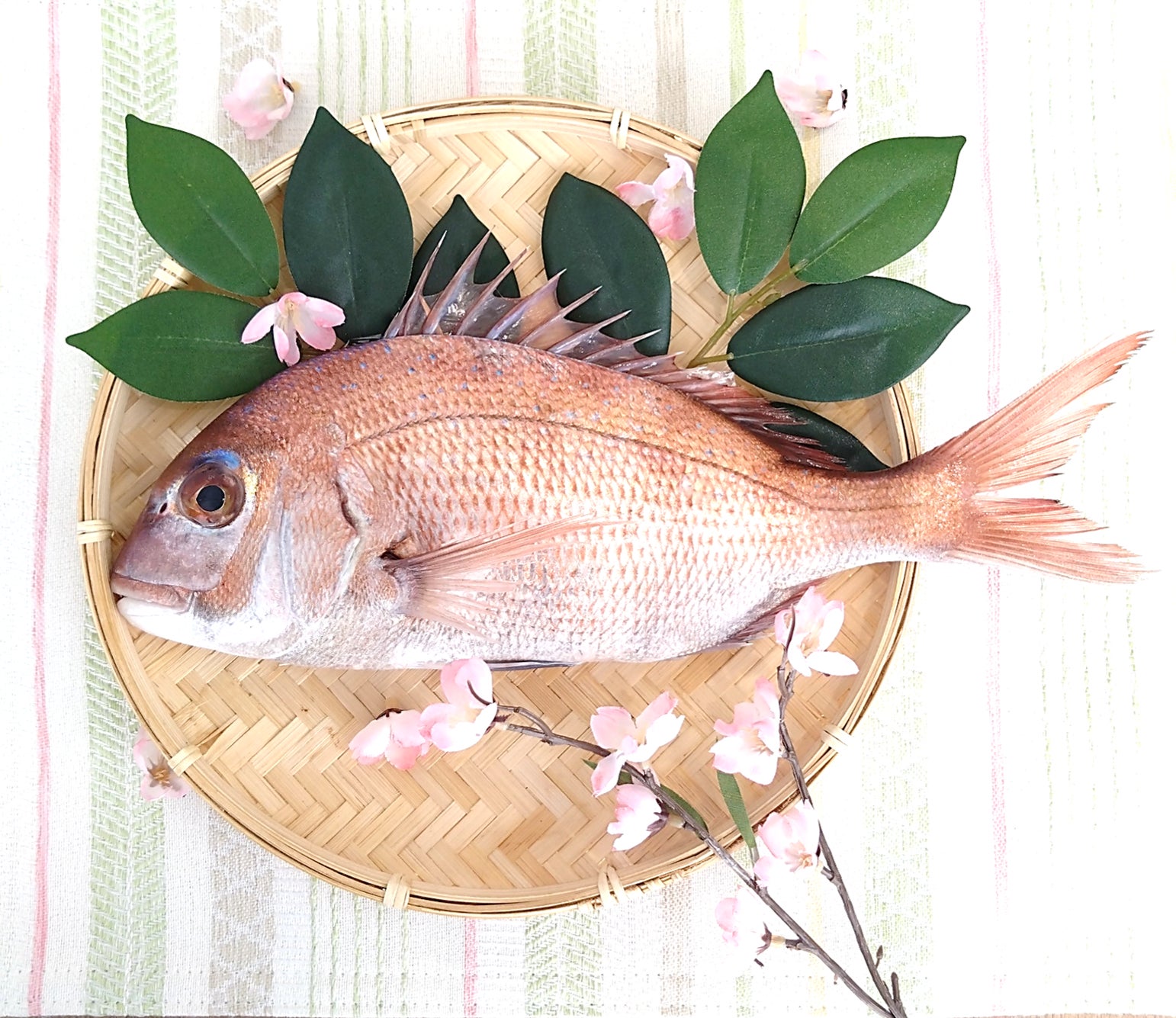 ピラティススタジオ「luluto」（理学ボディ）、明治インナーガーデンと共同開催