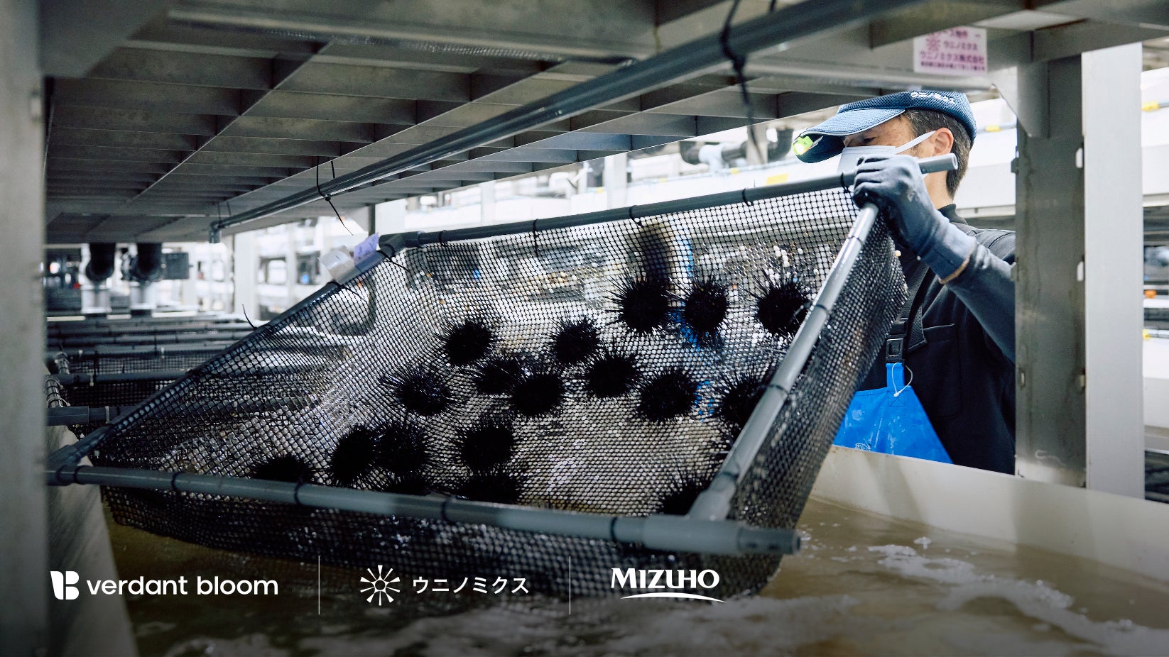 働く女性のコミュニティSNS「CORE」が、11月21日(金)に働く女性の交流イベント『Beaujolais Nouveau (ボジョレー・ヌーヴォー) Night 2025』を開催します。