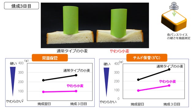 Netflixドラマ監修のショコラティエ川路が赤羽のかき氷店とコラボ。かき氷専門店の人気フレーバーが【完全チョコ化】