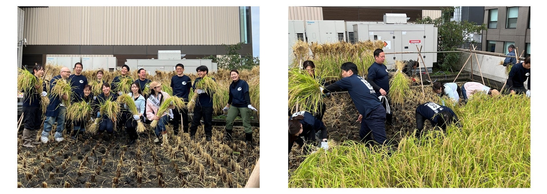 “設置型社食®”『オフィスで野菜』、関西最大級の『福利厚生EXPO』へ出展