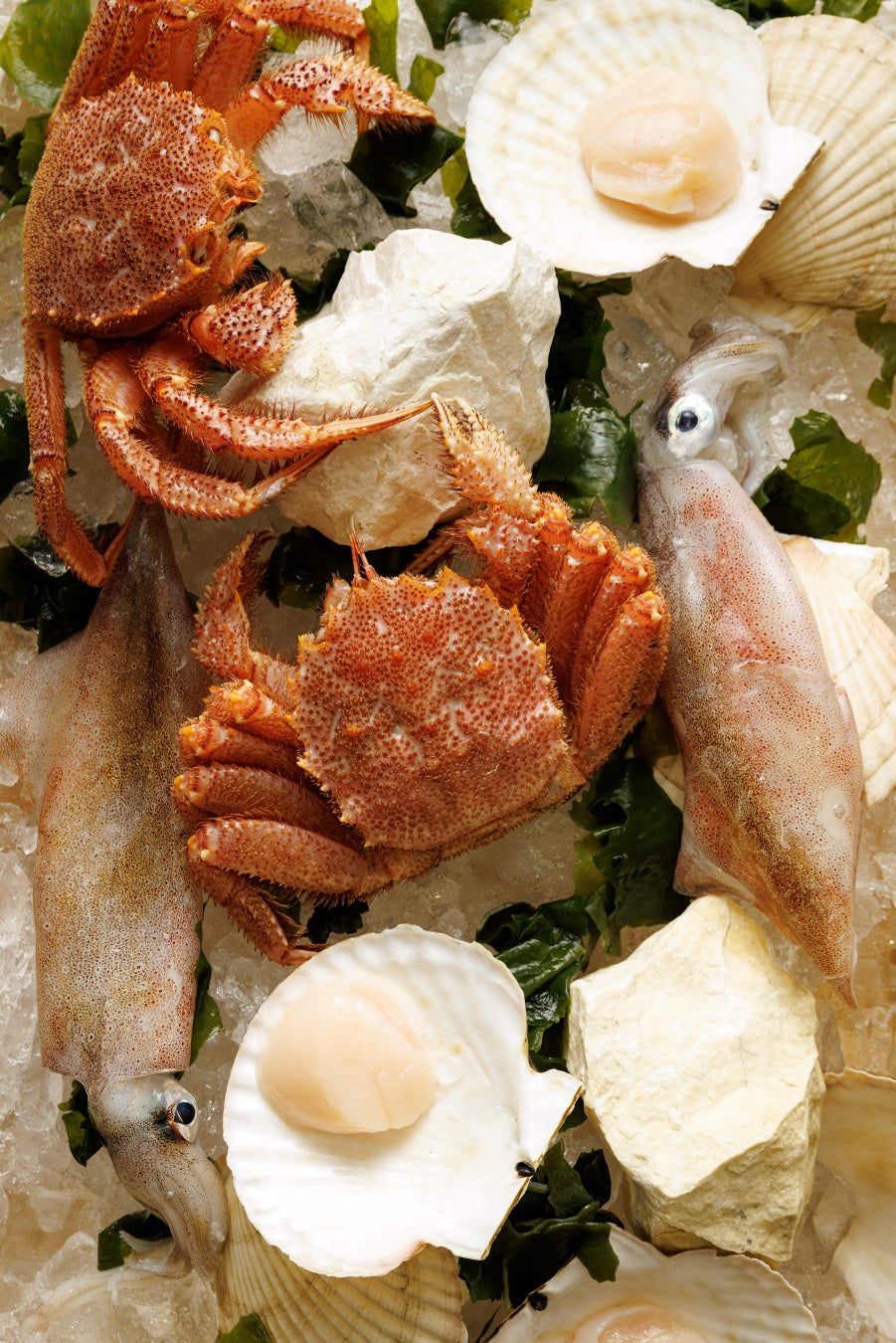 「韓メシ・韓スイーツ 「アンニョン」の日」11/14(金)~11/16(日)記念日制定キャンペーン