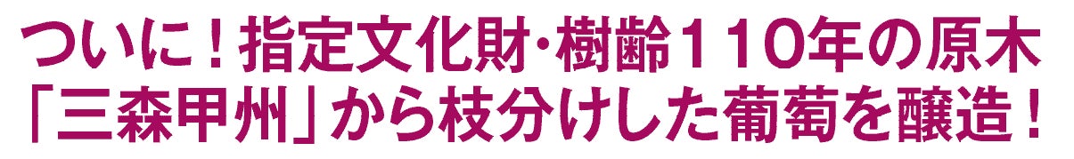 Minimalの人気ギフト「チョコレートサンドクッキー」に冬季限定の苺&抹茶フレーバーが登場!個包装で、お配り用の冬の贈りものにも最適。