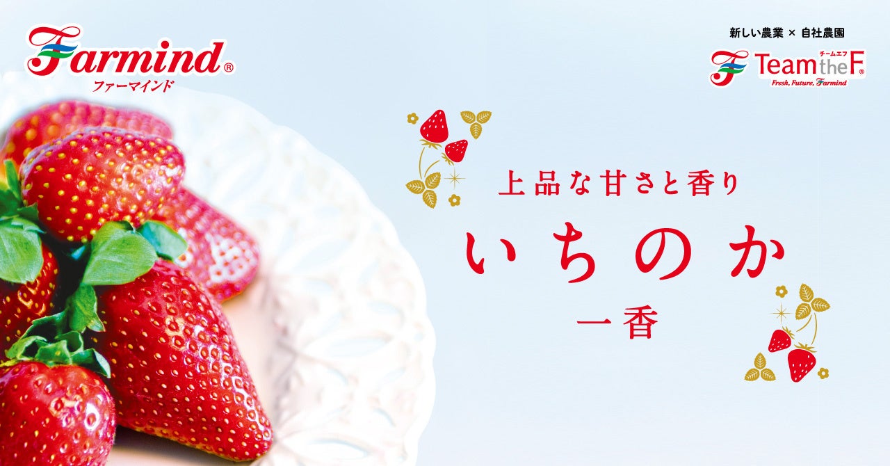 ジャパンフードセレクション最高評価グランプリ受賞！ファーマインドのプレミアムいちご「いちみつ」を2025年12月より販売開始します