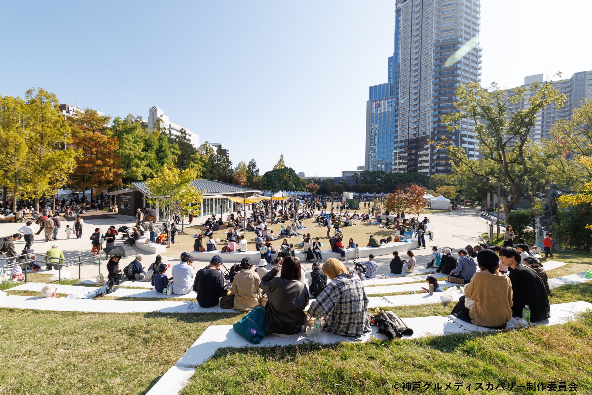 【狩猟解禁】冬の「ジビエ」シーズンが到来‼