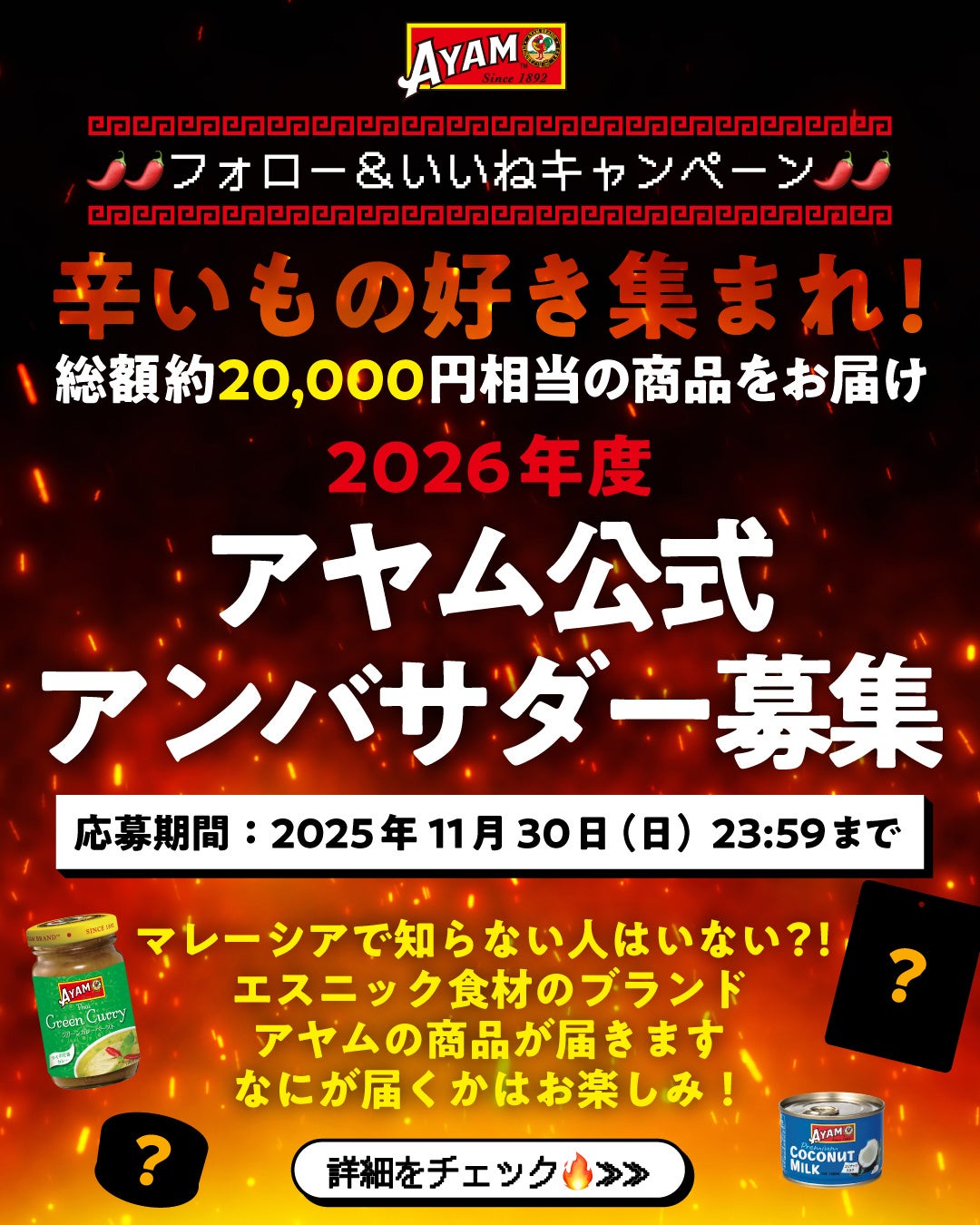 辛いもの好き集まれ！隔月でおすすめ商品が届く、エスニック食材ブランド【アヤム】のアンバサダー大募集！11/30まで