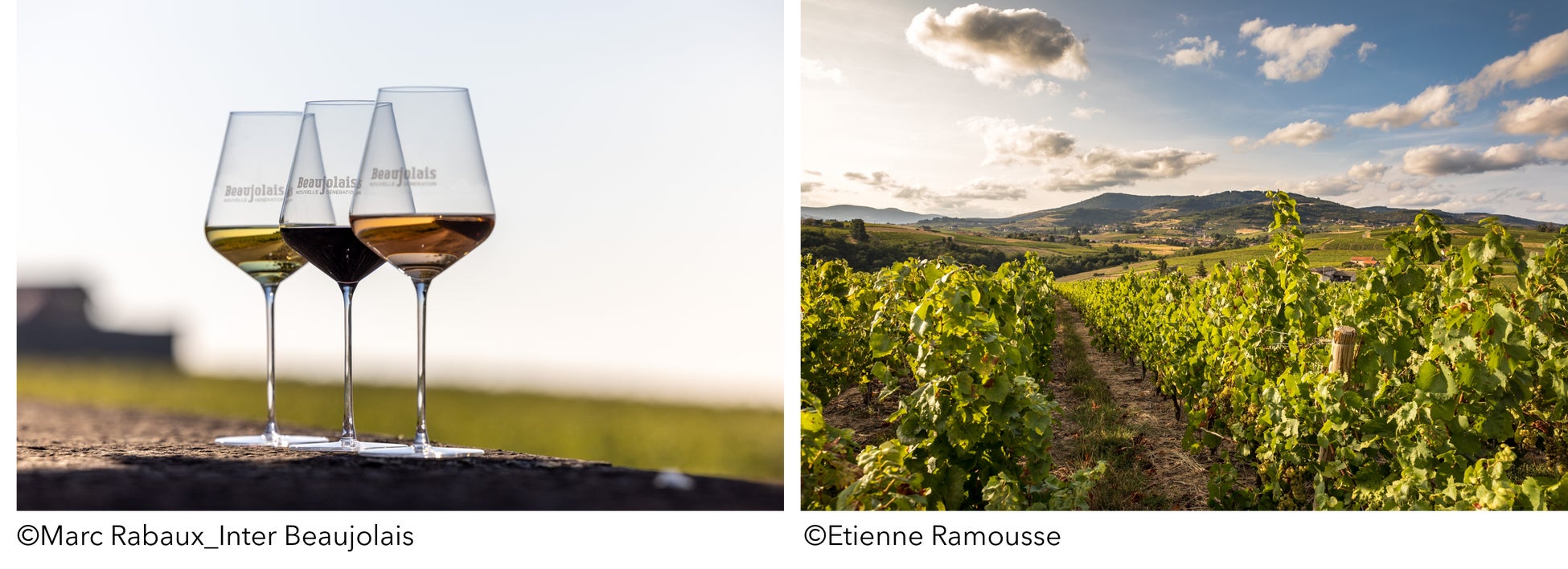 2012年から販売 累計約1,950万食突破、好きな素材を好きなだけ選べる!ローソンストア100オリジナルおせち「選べるおせち」が今年も登場!