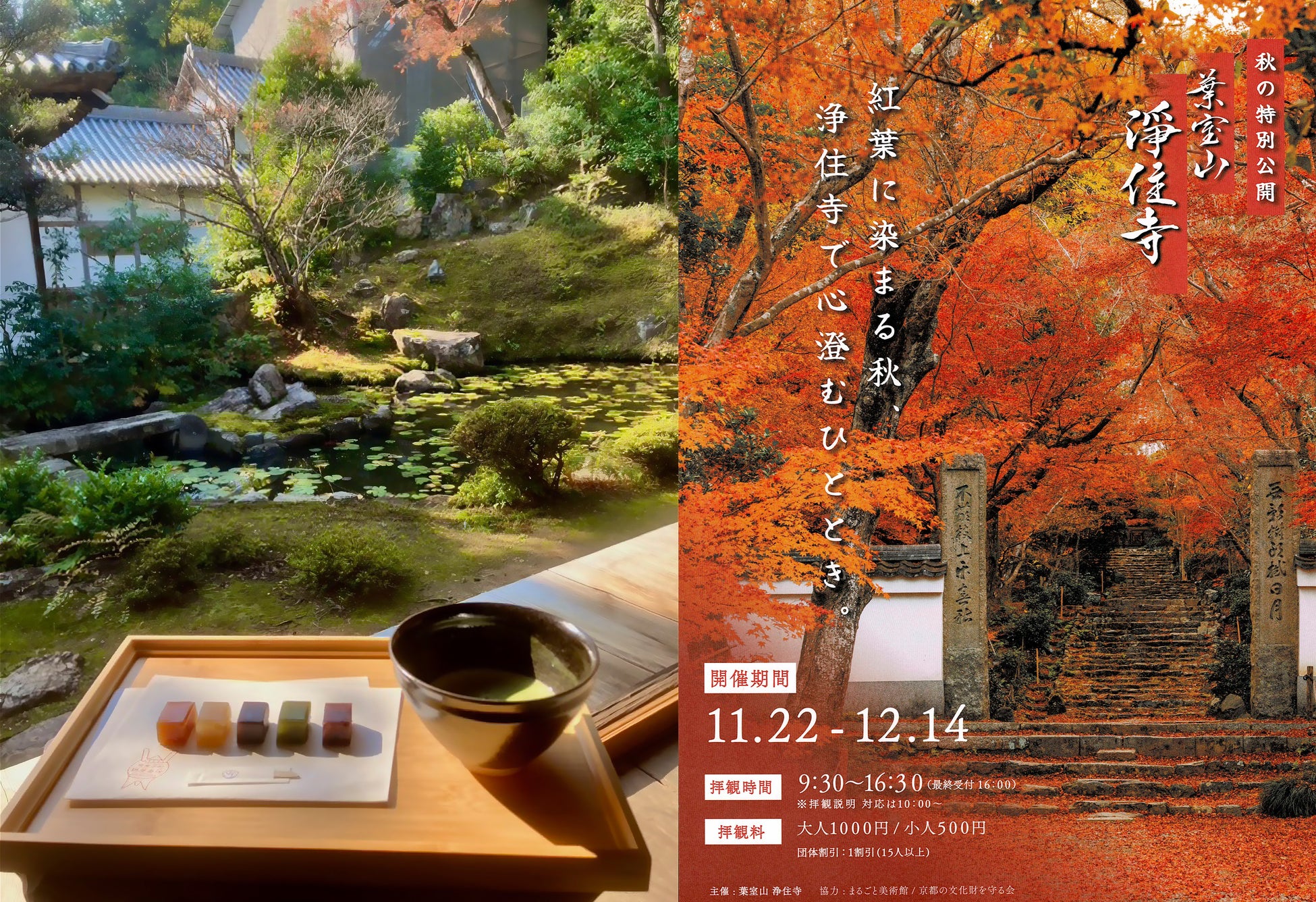 空想上の果実をグミで味わう第3弾「イトピスの実」を新発売!隕石のような硬い殻×人魚の涙のようなロマンティックな形セブン‐イレブン限定で数量限定販売!