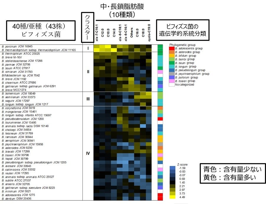 信州のみそ蔵・新田醸造(江戸末期創業)が店舗全面リニューアルし 12月1日(金) にグランドオープン