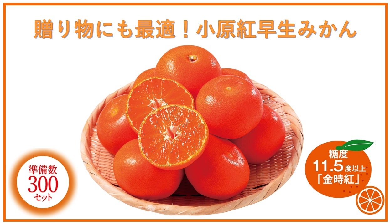 【神戸阪急】食べ比べも楽しんで！「シュトーレン クリスマス」