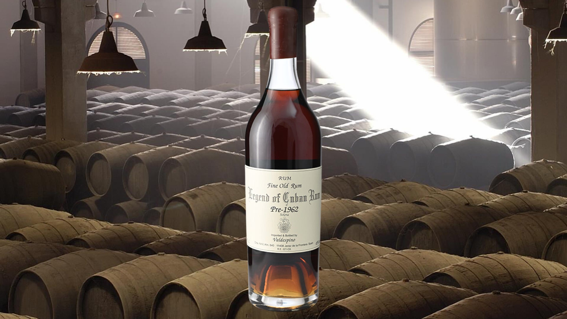 【農福コンソーシアムひろしま】「ふぁ~む to て~ぶる」レモン畑での収穫体験&ピザ作りイベント食を通じて農業や福祉と地域活性化を目指し2025年12月7日(日)に開催