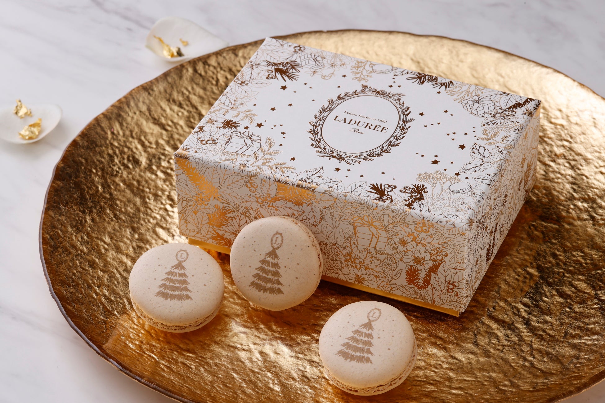 【入場無料】沖縄・西原町の“イイモノ”を味わい尽くす2日間!「西原町魅力発信フェア」11/29・30開催!