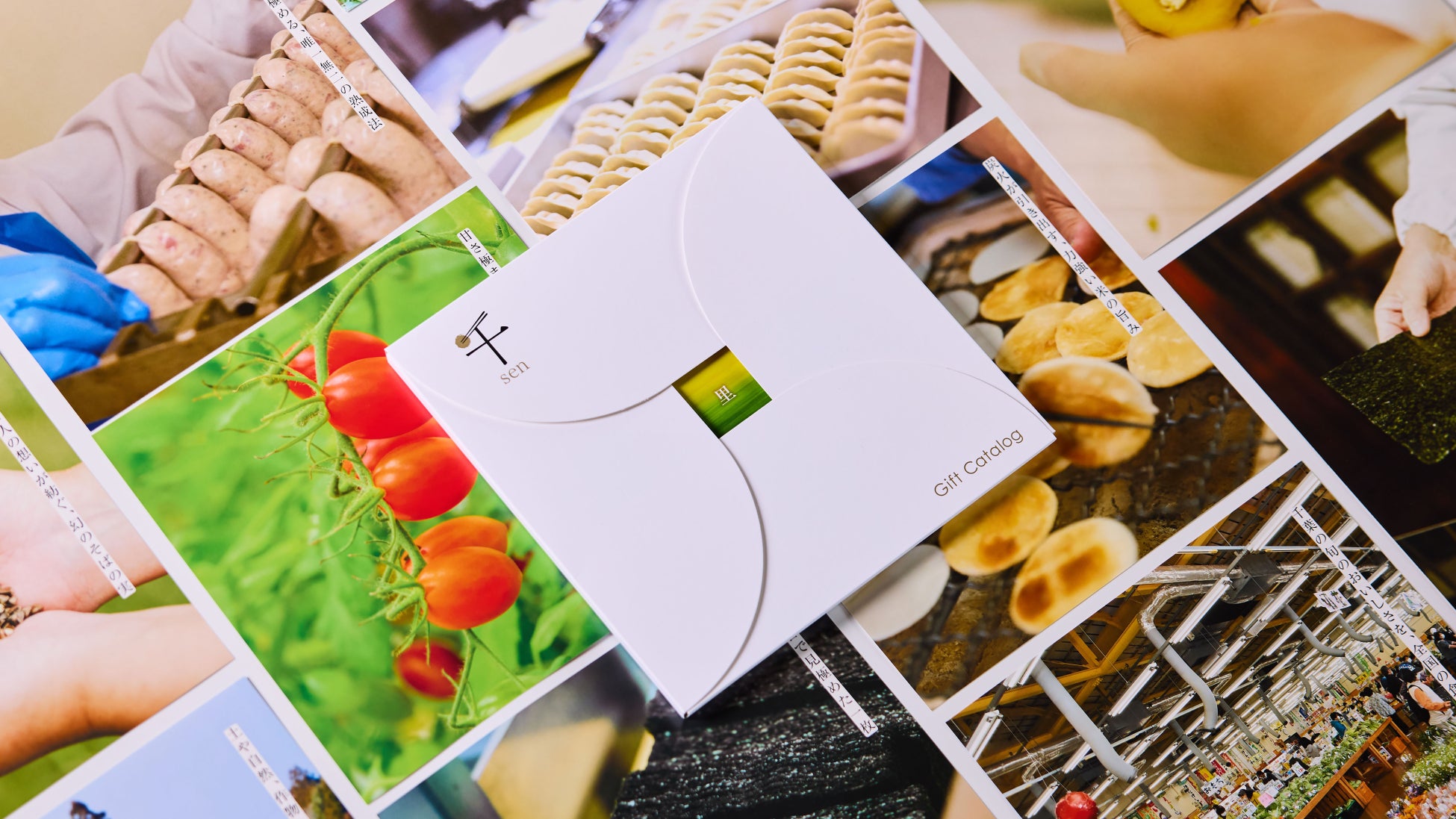 【磯揚げまる天】旬の味覚を楽しむ 冬限定の新商品「明太マヨ天」が登場！2025年12月1日(月)より一部店舗限定発売