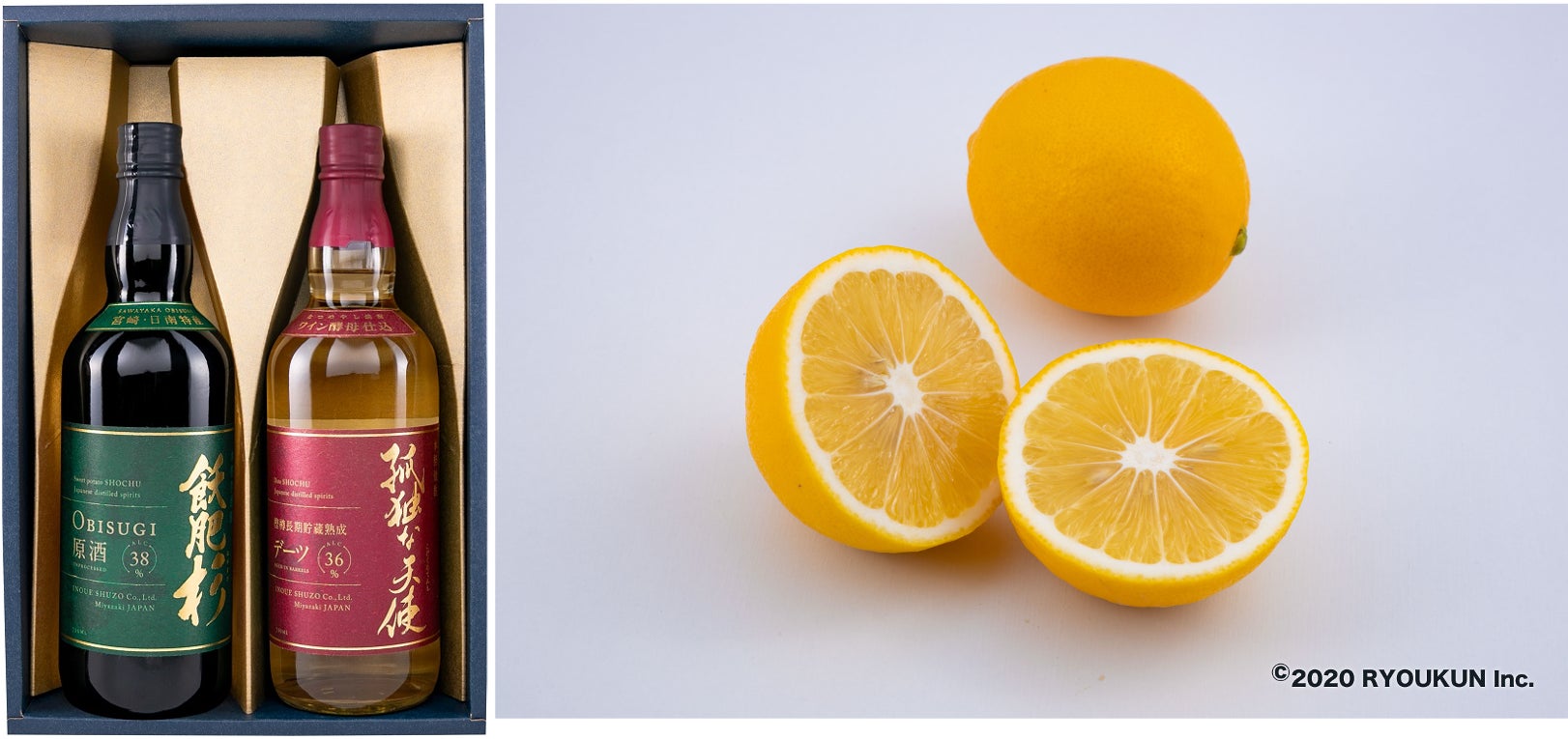 JR東京駅「グランスタ」が贈る『TOKYO XMASTATION 2025』速報！クリスマスケーキ予約数ランキングTOP10を発表