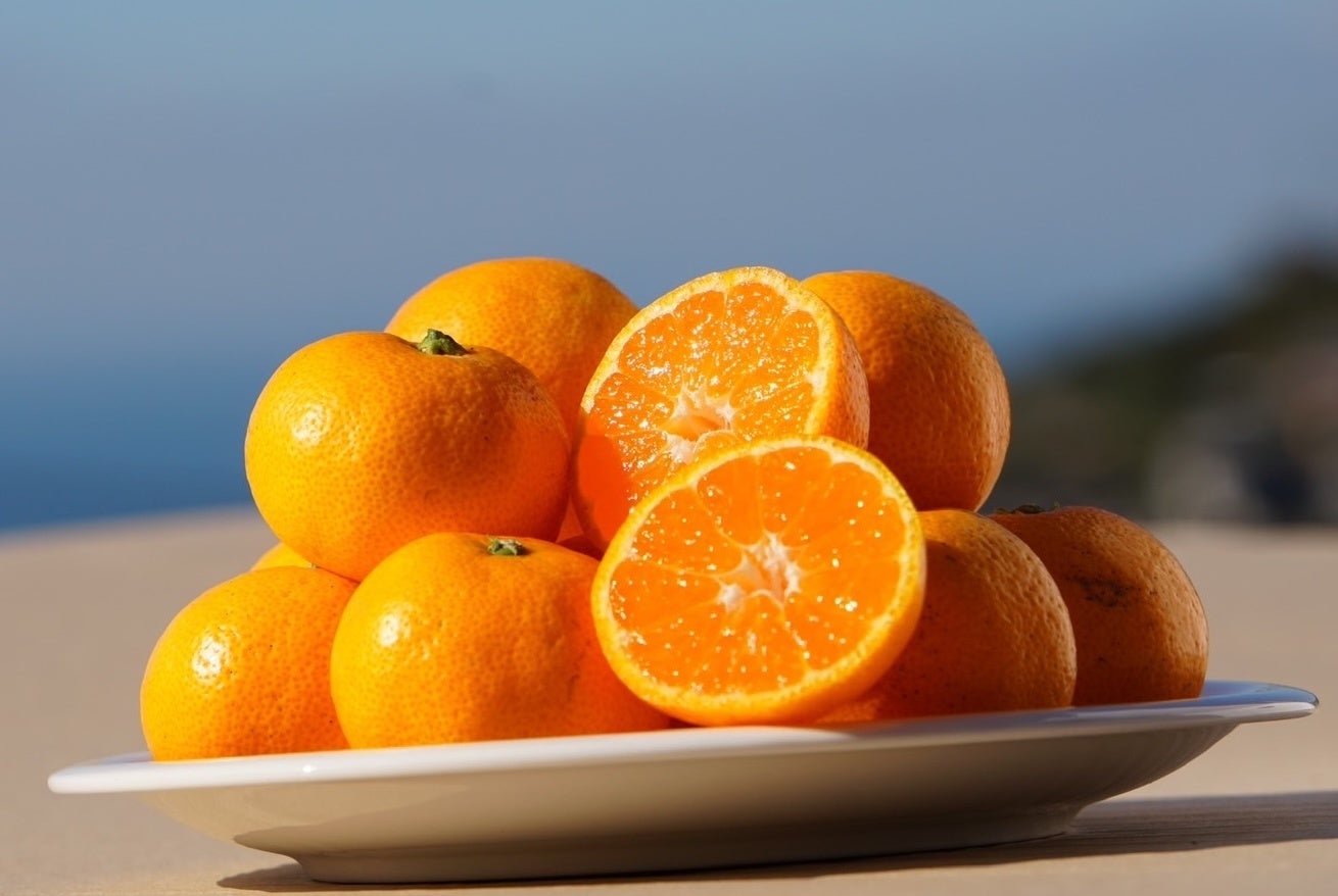 ＜数量限定＞イタリアンの巨匠・落合シェフ監修、渾身のスペシャリテコース12月10日より販売開始！