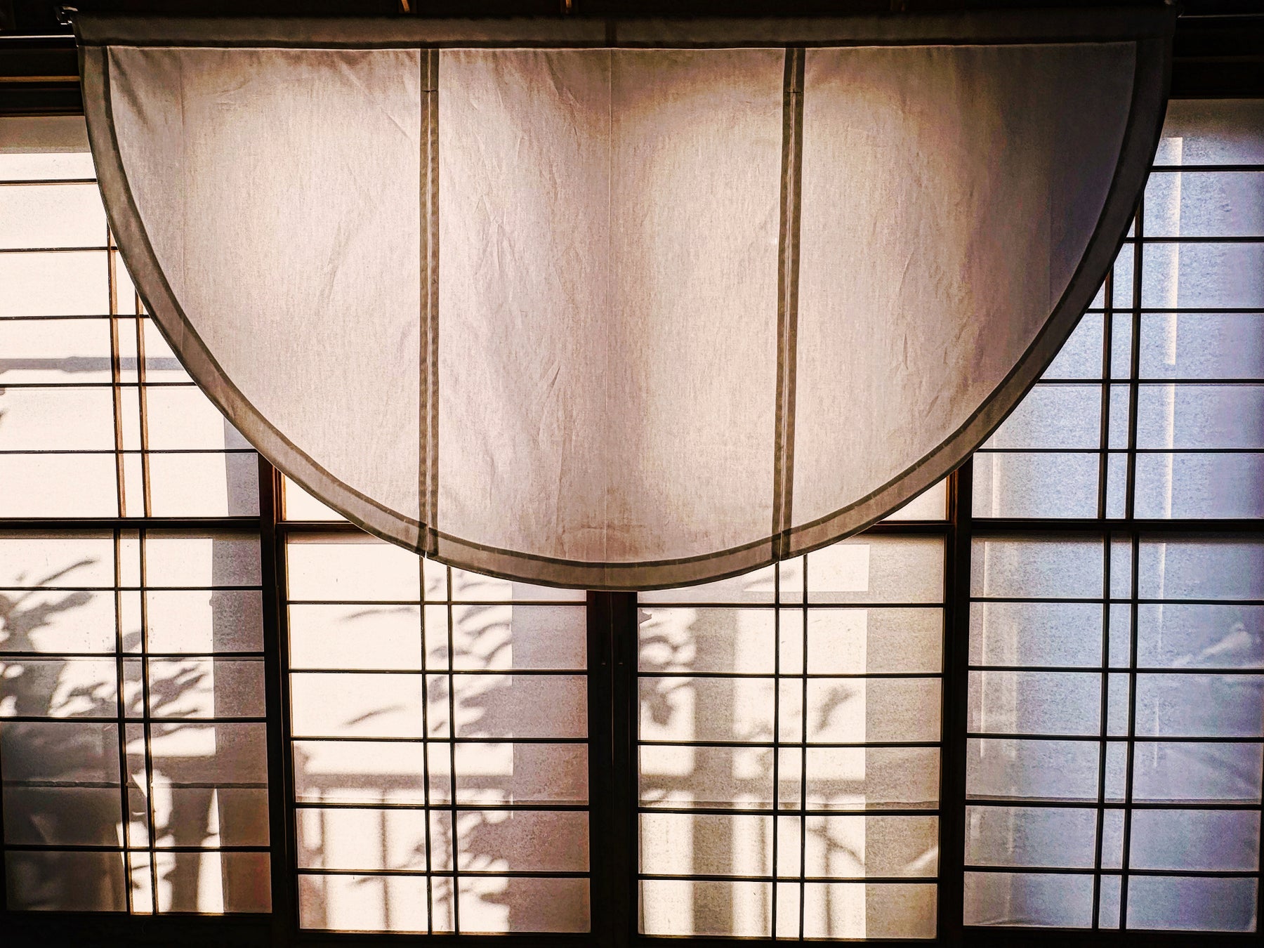 別府の冬を彩る、ふぐ尽くしの特別コース登場