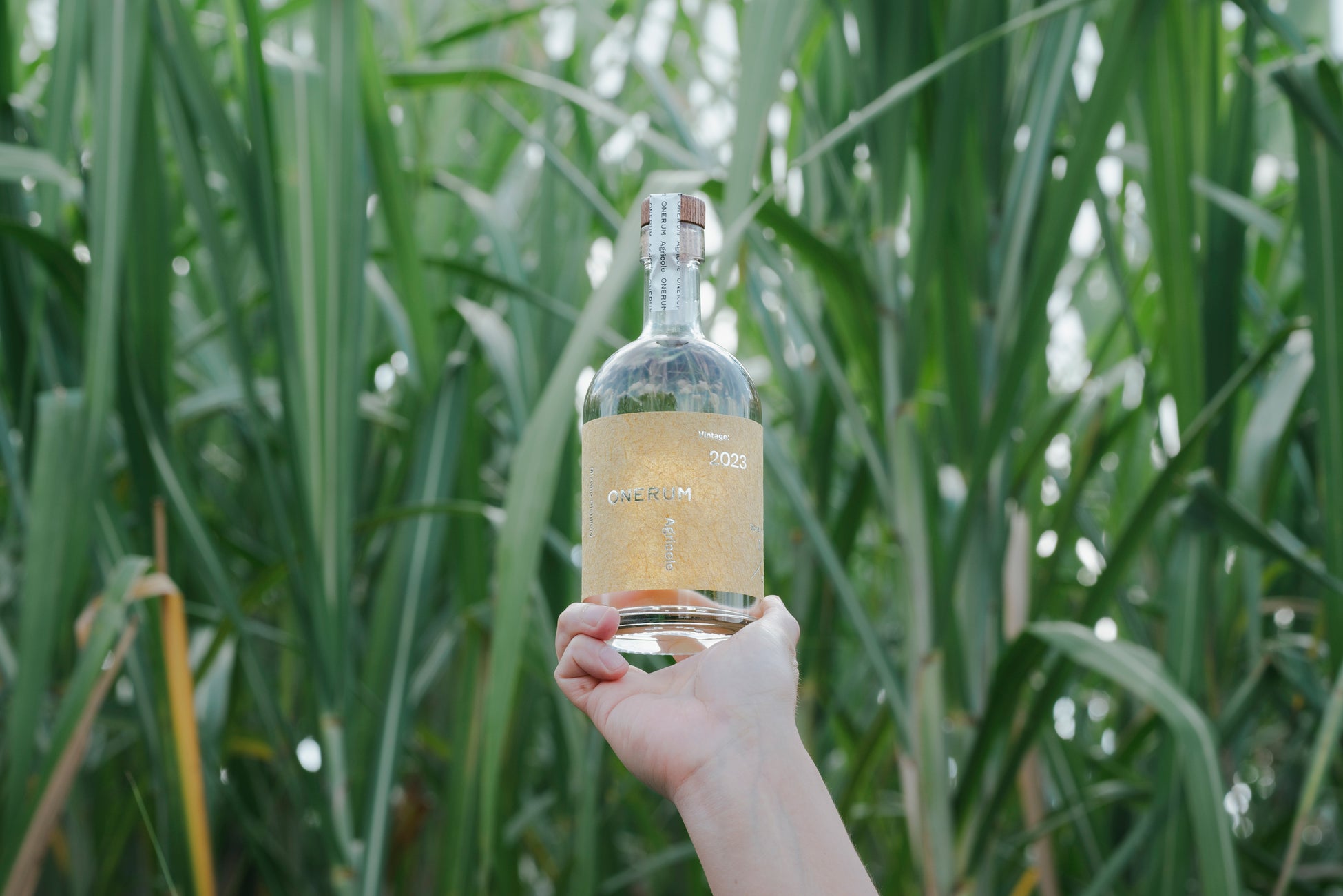 愛媛・道後唯一の酒蔵、創業130年を期に次なる100年へ始動!「仁喜多津」を世界へ届ける挑戦 クラウドファンディングを開始