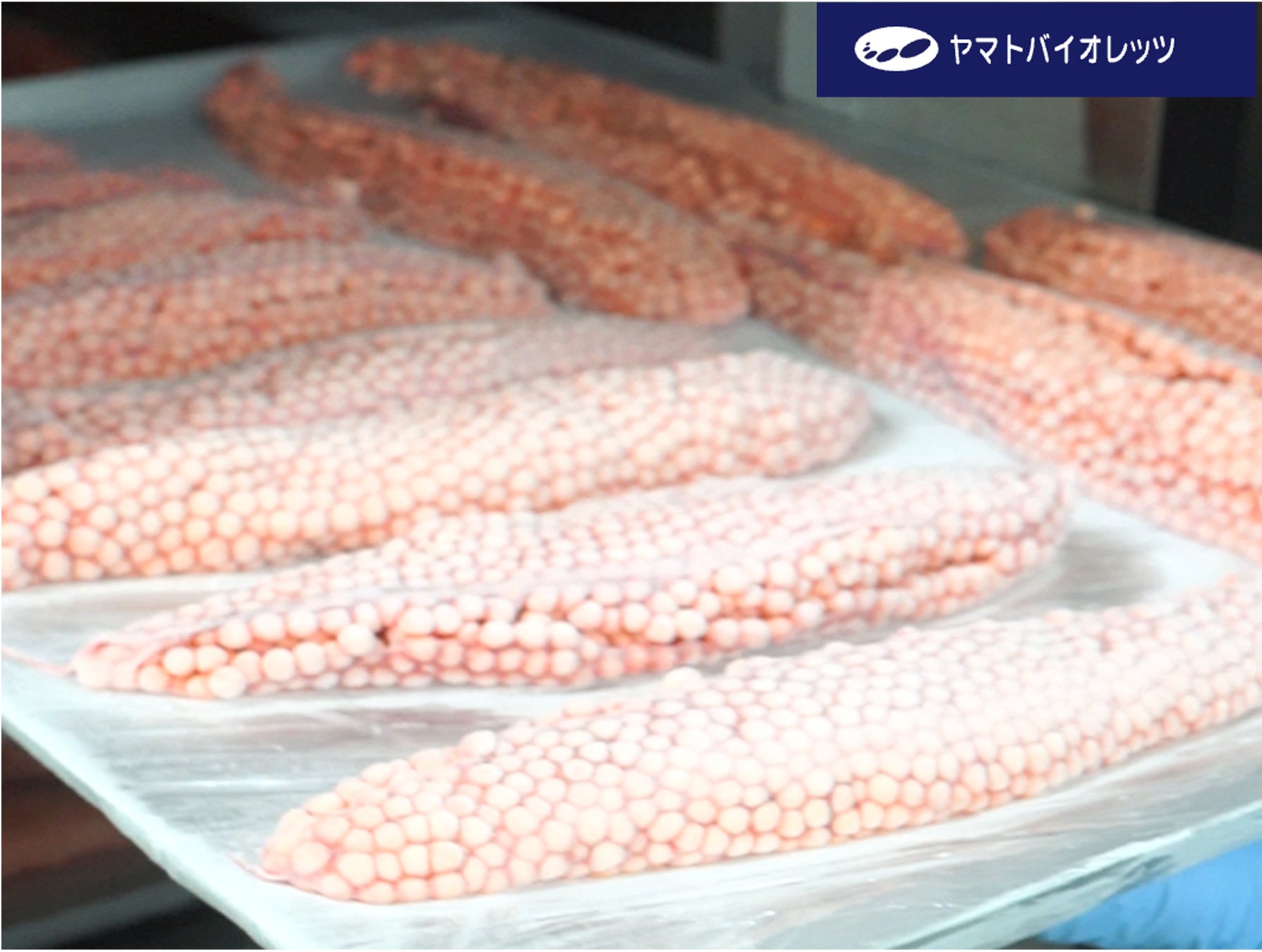 【調査リリース】カフェ利用者の97%が「満席で入店断念」を経験 8割が「最終的に諦めた」経験も