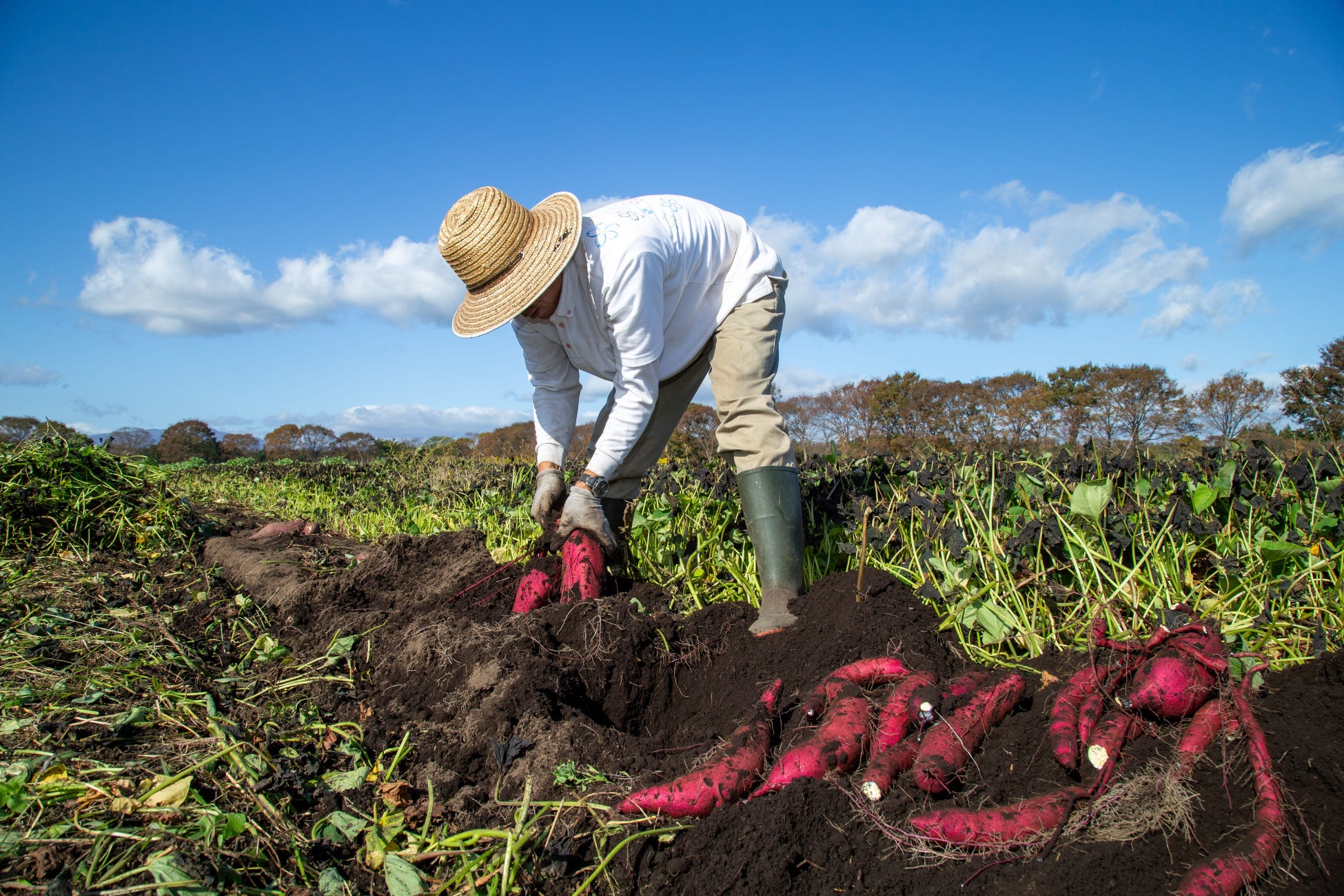 大崎「intellctuary（アンテレクチュアリ）」クリスマスディナーコース【Xmas2025】Dinner Course の予約を開始