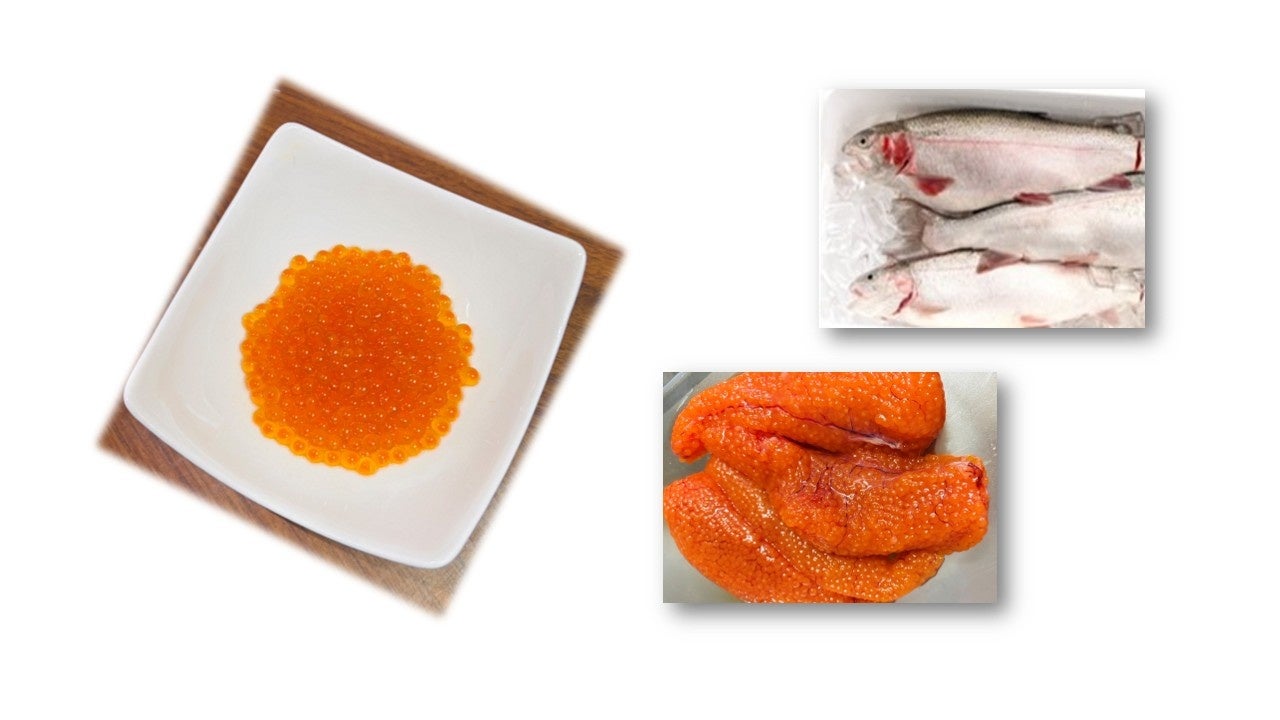 湯気立つ一杯で心ほどける——「鍋焼きうどん定食」提供開始