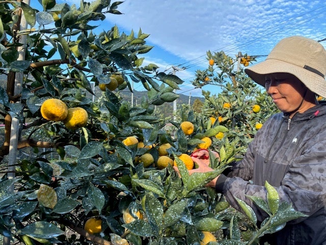 東京駅にて3日間連日即完売した食べられるパソコン!?「#パソコンで買える駅弁屋さん」のSNSでの反響を受けてついに全国発売!大阪、名古屋、福岡のご当地版「FMVentoU」も販売決定!